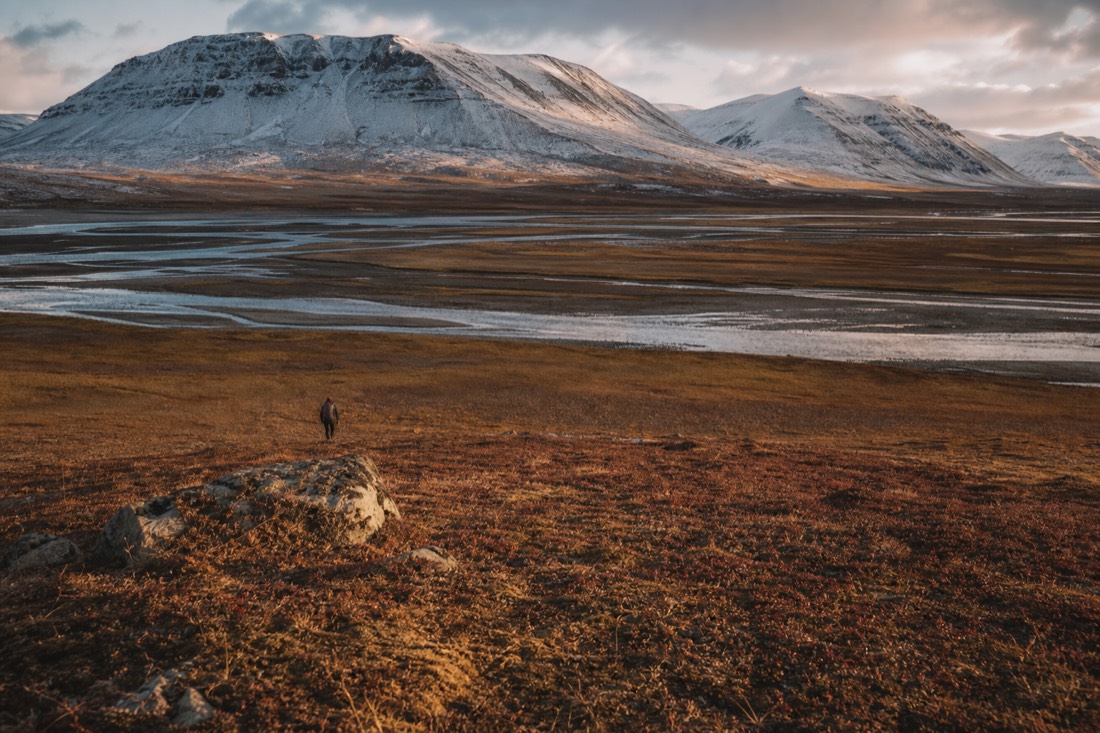 Rust and gold autumn tundra in Adventdalen, the golden autumn shoulder season near Longyearbyen