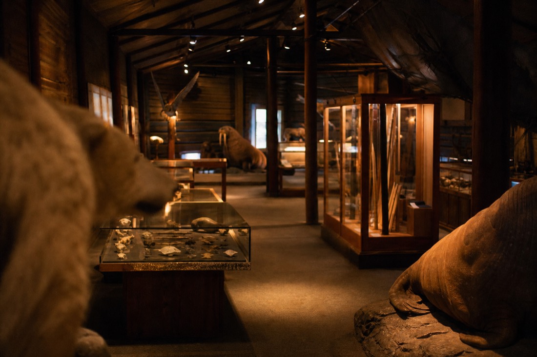 Warm museum interior in Longyearbyen, a weatherproof thing to do on a bad-weather Svalbard day